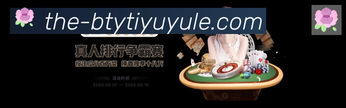 互动解说服务
